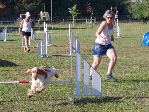 Concours d'agility, Fontaines 9 et 10 septembre 2023