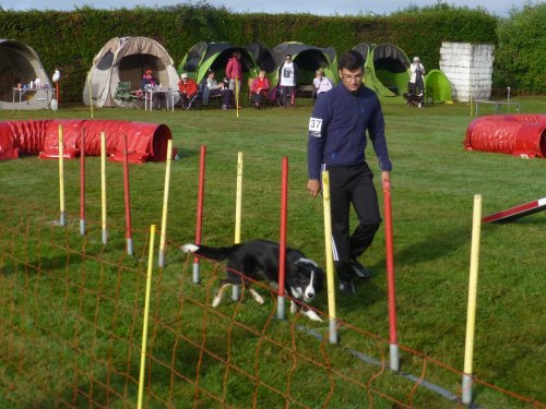 Concours d'agility, Autun, 10 septembre 2017