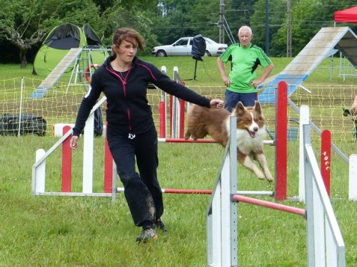 Concours d'agility de Fontaines, le 29 mai 2016