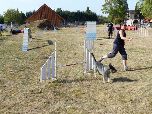 Concours d'agility de Fontaines, le 15 septembre 2019