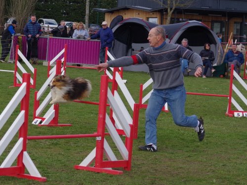 Concours d'agility, Barges, 1 avril 2018