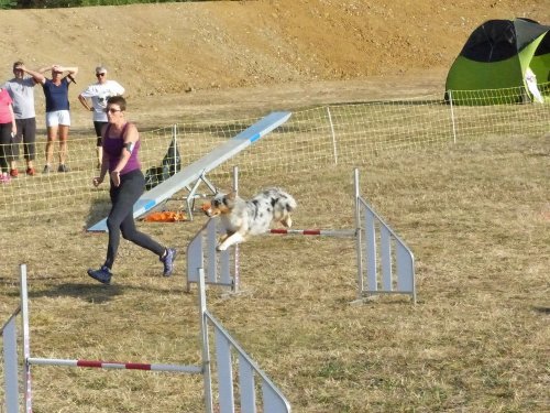 Concours d'agility de Fontaines, le 15 septembre 2019