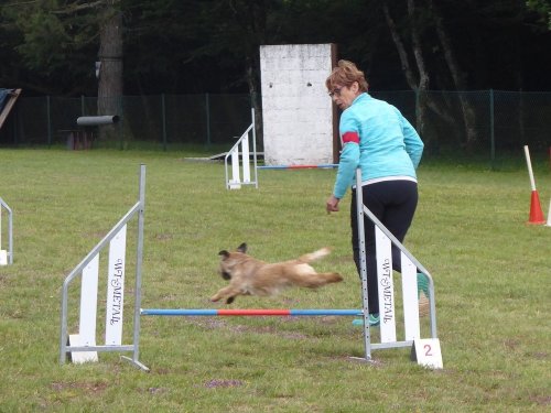 Concours d'agility, Daix, 17 juin 2018