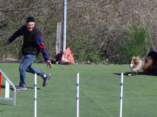 Concours d'agility, Le Creusot  1 avril 2023