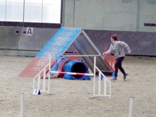 Concours d'agility, Dijon 8 décembre 2024