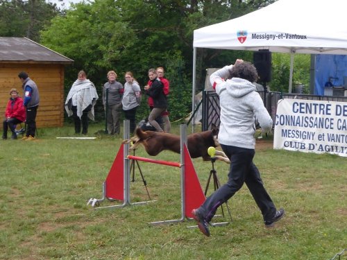 Concours d'agility, Messigny Vantoux, 12 et 13 mai 2018