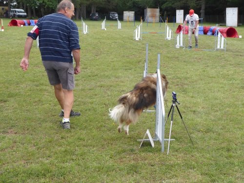 Concours d'agility, Daix, 17 juin 2018