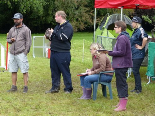 Concours d'agility de Fontaines, le 29 mai 2016