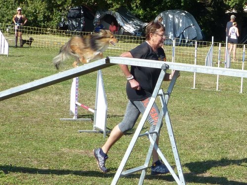 Concours d'agility, Fontaines 9 et 10 septembre 2023