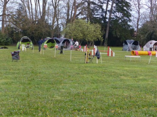 Premier concours d'agility de Fontaines, le 12 avril 2015