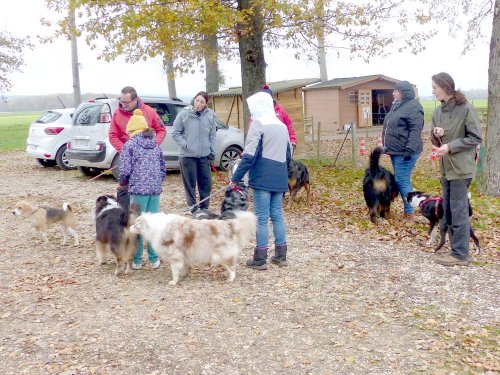 Education canine, 3 décembre 2022