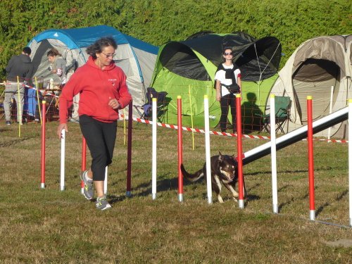 Concours d'agility, Autun, 9 septembre 2018