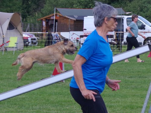 Concours d'agility, Magny sur Tille, 26 mai 2019