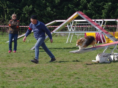 Concours d'agility, Gergy, 14 avril 2019