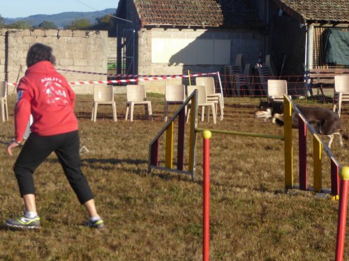 Concours d'agility, Autun, 9 septembre 2018