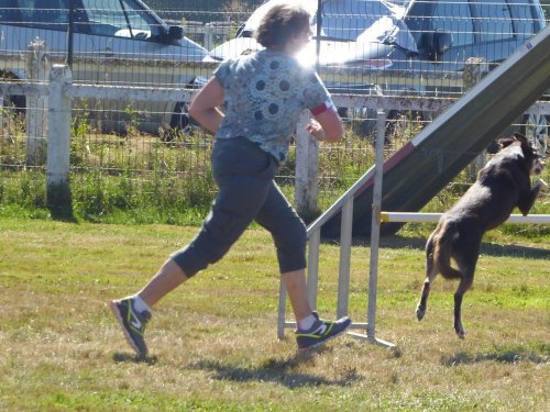 Concours d'agility, Montret, 29 juillet 2018