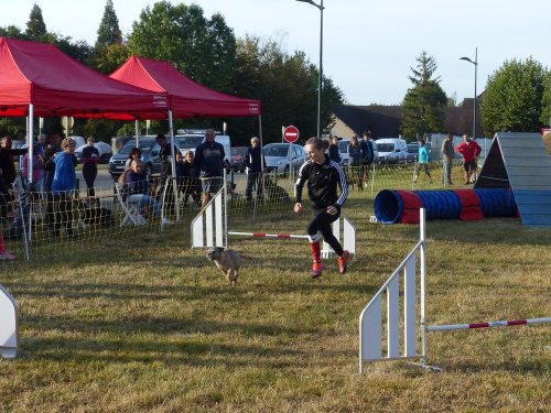 Concours d'agility de Fontaines, le 16 septembre 2018