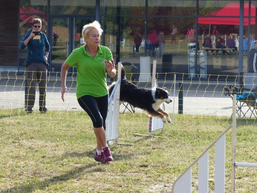 Concours d'agility de Fontaines, le 16 septembre 2018