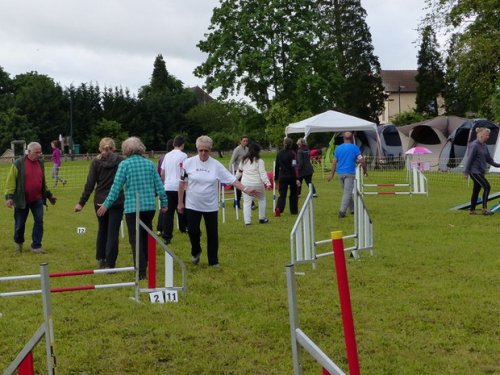 Concours d'agility de Fontaines, le 29 mai 2016