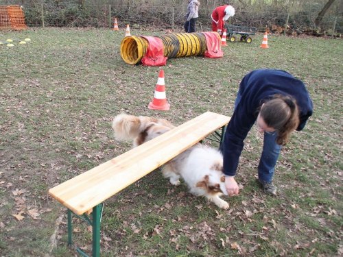 Education canine, 21 décembre 2019