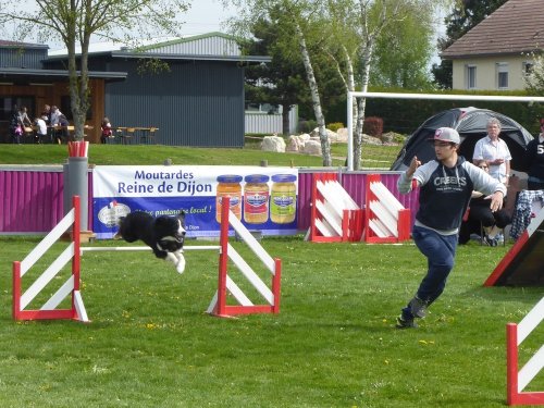 Concours d'agility, Barges, 21 avril 2019