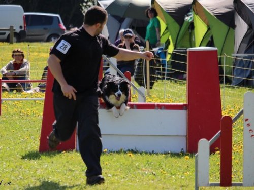 Premier concours d'agility de Fontaines, le 12 avril 2015