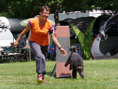 Concours d'agility, Sanvignes les Mines, 6 août 2016