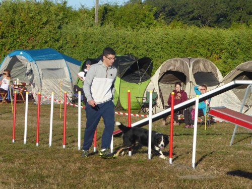 Concours d'agility, Autun, 9 septembre 2018