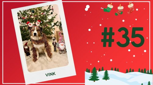 Concours photos 2024 : sur le thème de Noël