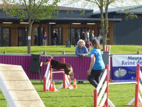 Concours d'agility, Barges, 21 avril 2019