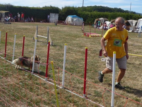 Concours d'agility, Autun, 9 septembre 2018