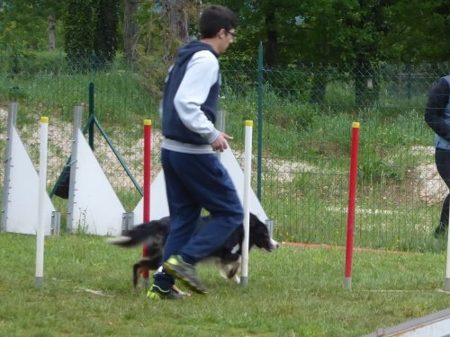 Concours d'agility, Messigny Vantoux, 12 et 13 mai 2018