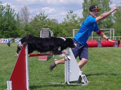 Concours d'agility, Magny sur Tille, 26 mai 2019