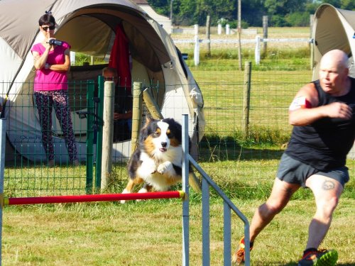 Concours d'agility, Montret, 29 juillet 2018