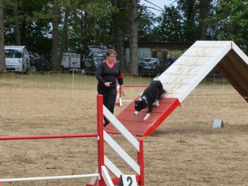 Concours d'agility, Nuits Saint Georges, 26 juillet 2015
