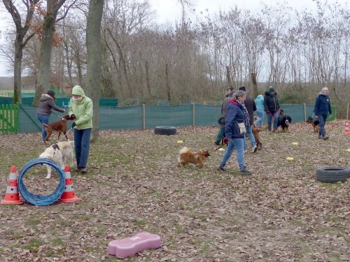 Galette des rois, 6 janvier 2024