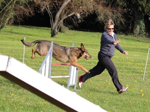 Premier concours d'agility de Fontaines, le 12 avril 2015