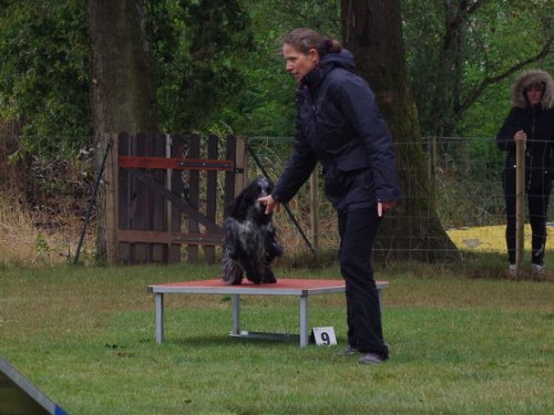 CAESC et Pass-agility Fontaines 17 septembre 2016