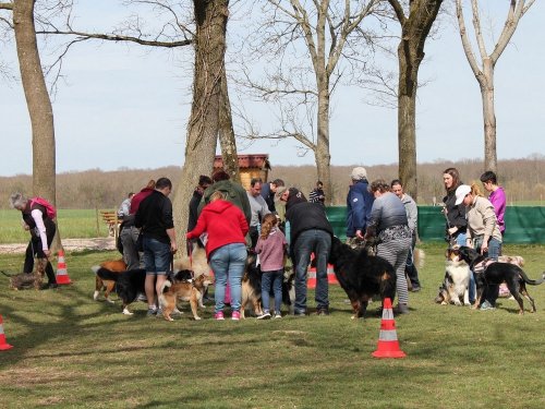 Cours d'éducation du 7 avril 2018