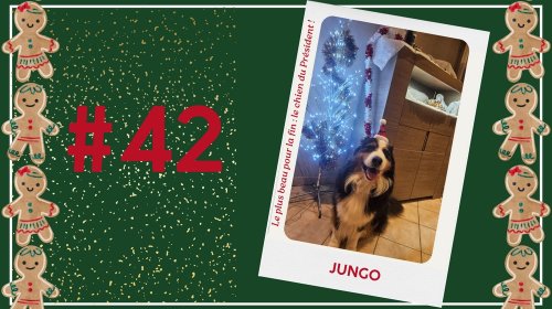 Concours photos 2024 : sur le thème de Noël