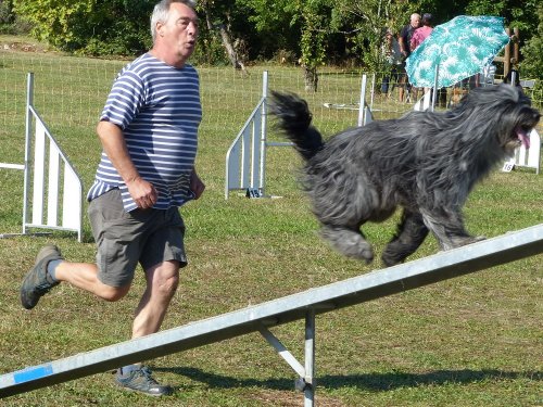 Concours d'agility, Fontaines 9 et 10 septembre 2023