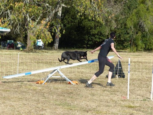 Concours d'agility de Fontaines, le 15 septembre 2019