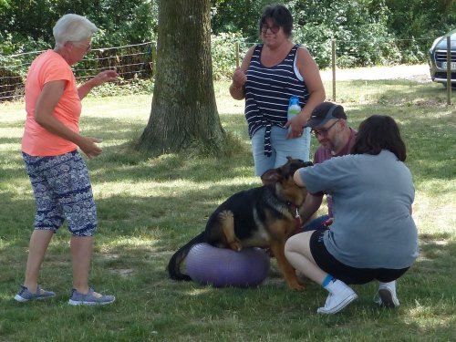 Fitness canin, 18 juin 2022