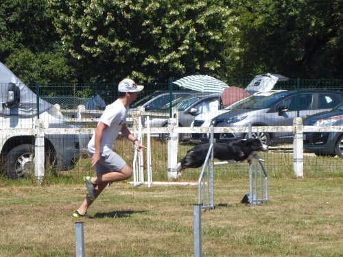 Concours d'agility, Montret, 29 juillet 2018