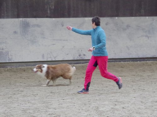 Concours d'agility, Dijon 8 décembre 2024