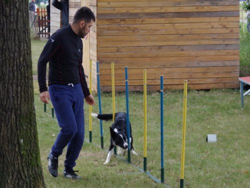 CAESC et Pass-agility Fontaines 17 septembre 2016