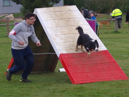 Concours d'agility, Barges, 1 avril 2018