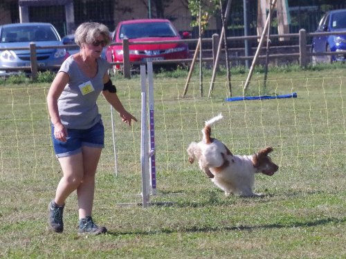 Concours d'agility, Fontaines, 9 et 10 septembre 2023