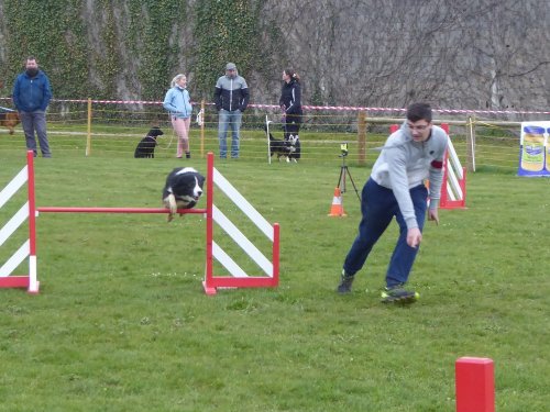 Concours d'agility, Barges, 1 avril 2018