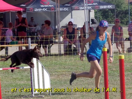 Concours d'agility, Fontaines 9 et 10 septembre 2023